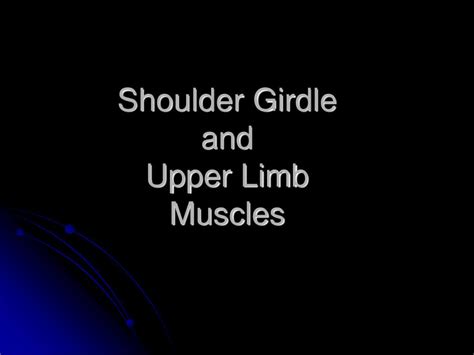 Ppt Shoulder Girdle And Upper Limb Muscles Powerpoint Presentation