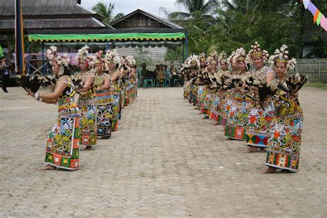 Penari Wanita Dayak Budaya Kalimantan Dan Pedesaan