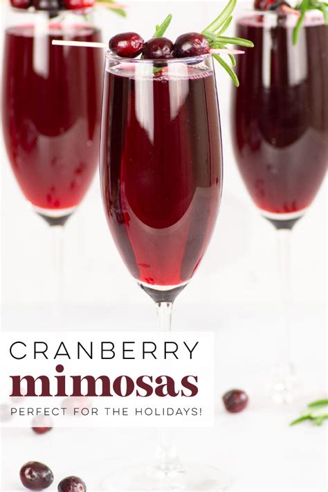 Easy Cranberry Mimosa Recipe Mindful Avocado