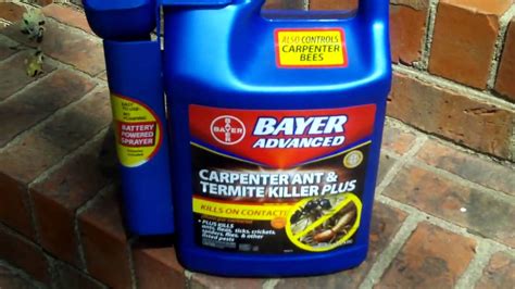 If you are seeing actual ants on a regular basis or if you somehow know with surety that a nest is present, you need to take action. Bayer Carpenter Ant Killer Product Demonstration using Kodak Zi6 HD Flip Camera - YouTube