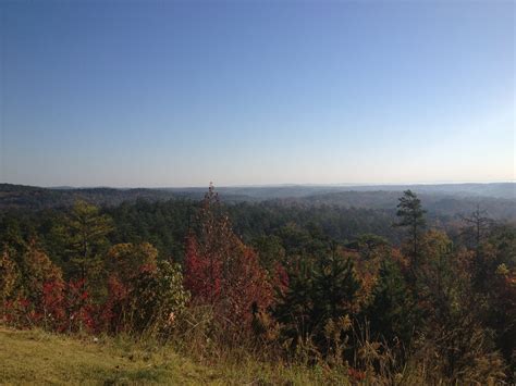 A 100 Mile Run In The Talladega National Forest Alabama Usa