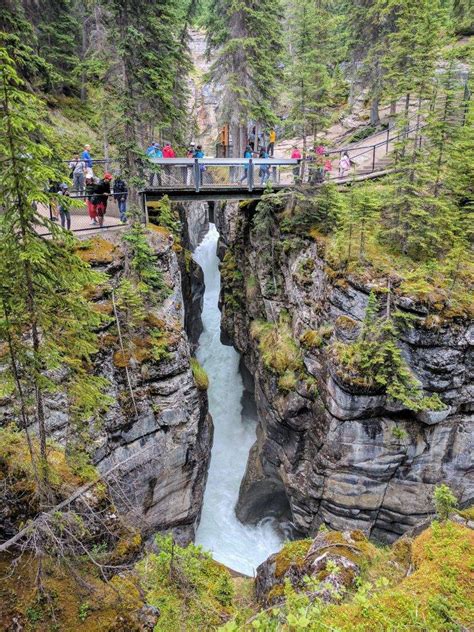 Maligne Canyon With Kids Discovering Jasper National Park Grazy Goat