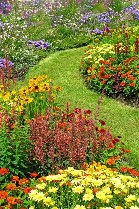 Designing A Front Yard Wildflower Garden