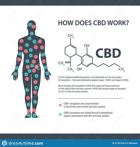How Does Cbd Works White Information Banner With Cannabidiol Chemical