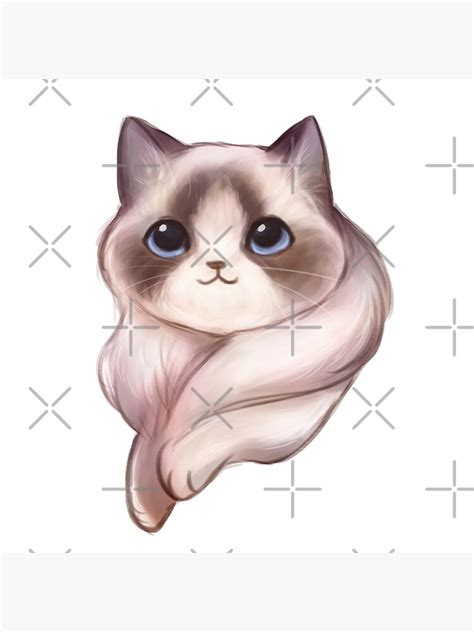 Ragdoll Cat Blue Eyes Painting Poster For Sale By Swadesign Redbubble