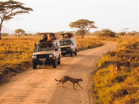 Tanzania Travel Guide Everything You Need To Know The Independent
