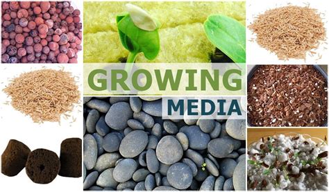 Top 17 Grow Media For Hydroponics And Aquaponics Pros And Cons