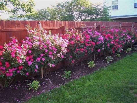47 Amazing Rose Garden Ideas On This Year ~ Backyard
