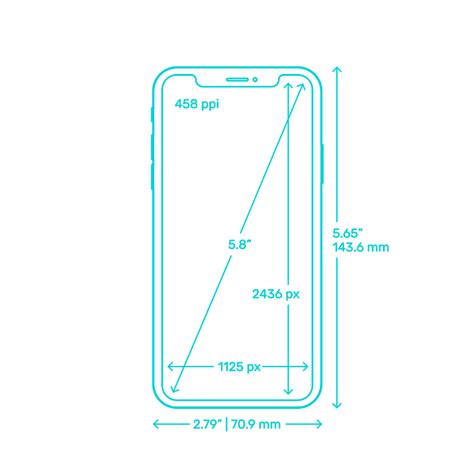 Apple Iphone X Dimensions And Drawings Dimensionsguide