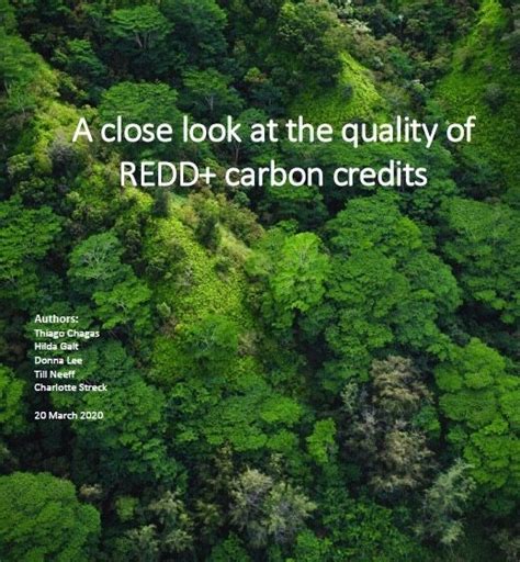 A Close Look At The Quality Of Redd Carbon Credits Climate Focus