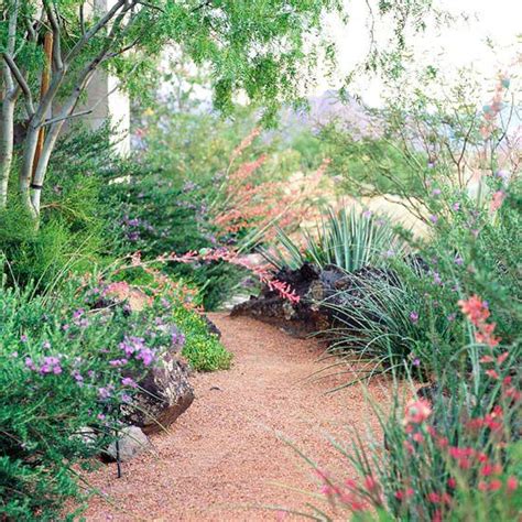 Easy Care Desert Landscaping Ideas