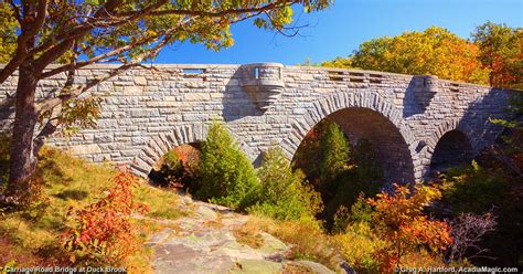 Carriage Roads And Bridges Acadia National Park