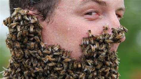 20 People Covered In Bees Youtube