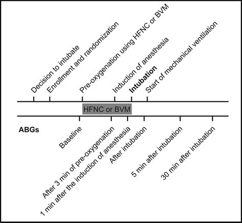 What is nasal cavity definition, what is the function of nasal cavity, role of mucus in nasal cavity vestibule: High-Flow Nasal Cannula Versus Bag-Valve-Mask for ...
