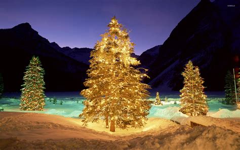 Christmas Images Nature 2023 Best Perfect Most Popular Incredible