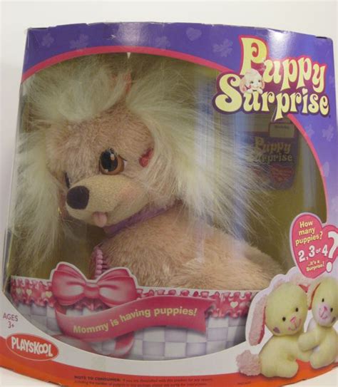 Puppy Surprise By Playskool The Toy Box Philosopher