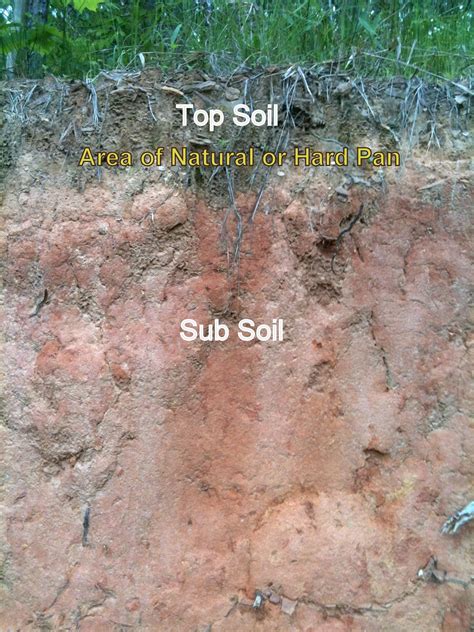 Soil Hardpan Profile The Management Advantage