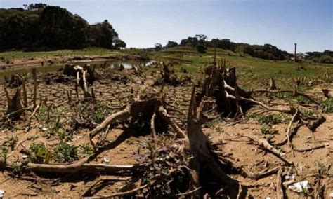 Apwr O Desmatamento Da Amazônia E A Relação Com A Estiagem Histórica No Sul Do Brasil