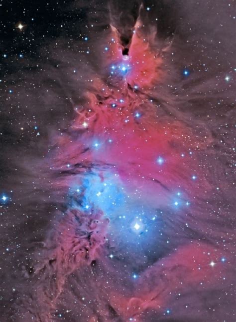 Ngc 2264 Including The Cone Nebula The Christmas Tree Cluster A Young