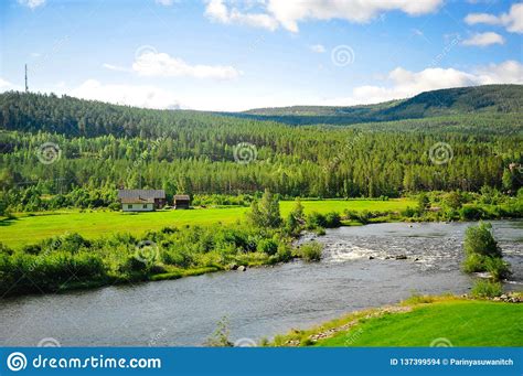 Beautiful Norway Forest Landscape Of Hills Mountain And River In A