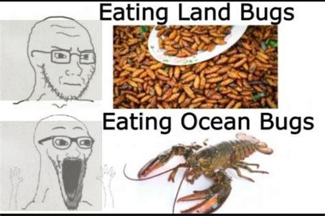 eat the bugs i will not eat the bugs know your meme