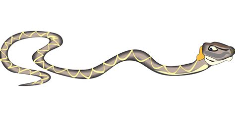 Snake Happy Reptile Free Vector Graphic On Pixabay