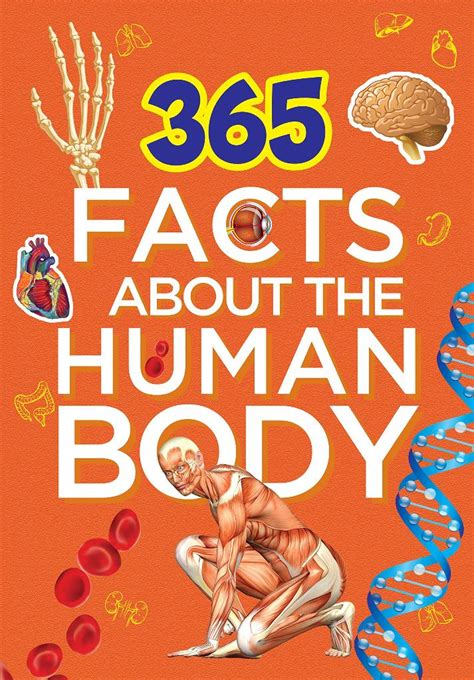 Facts About The Human Body ওম বকস সমপদক Facts About The Human Body Om Books