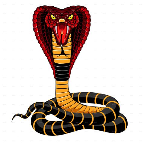 Cobra Snake Illustration By Ashmarka Graphicriver