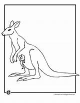 Kangaroo Coloring Baby Pages Kangaroos Color Popular Printer Send Button Special Only Print Use Jr sketch template