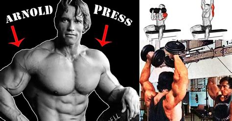 Get Rounded Shaped Shoulder With Arnold Press Shoulder Workout