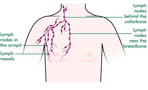 If this tender area in your breast persists,i recommend a breast and armpit evaluation by your physician,gynecologist or a breast. Men's breasts - Understanding - Macmillan Cancer Support