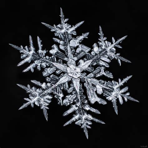 A Snowflake Is Shown In Black And White With The Image Being Viewed