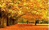 Pictures of Fall Foliage Quotes