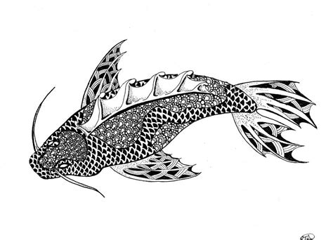 Zentangle Koi Drawing By Erica Partridge Pixels