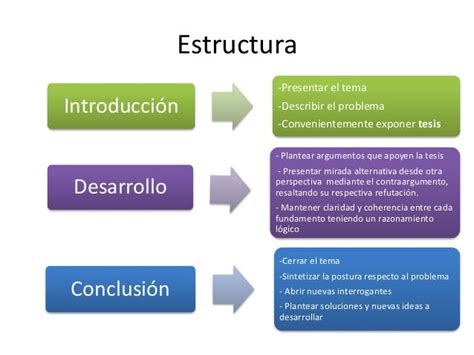 Estructura Del Ensayo