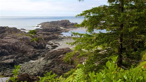 Pacific Rim National Park Reserve Holiday Rentals Cabins And More Vrbo
