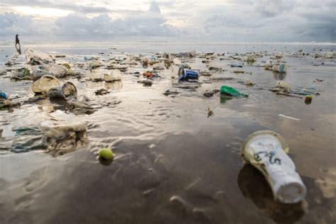Video Pristine Beaches Become Dumping Grounds For Plastic Waste The