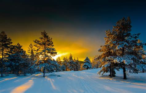 Wallpaper Winter Snow Trees Landscape Nature Morning Ate Norway