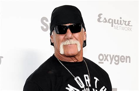 Hulk Hogan Fired From Wwe After Racist Rant