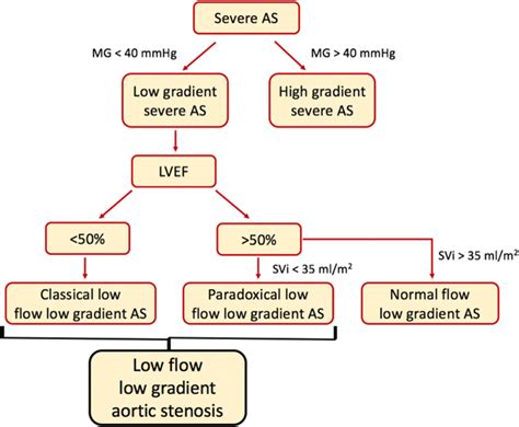 Subtypes Of Severe Aortic Stenosis As Aortic Stenosis Lvef Left Download Scientific Diagram