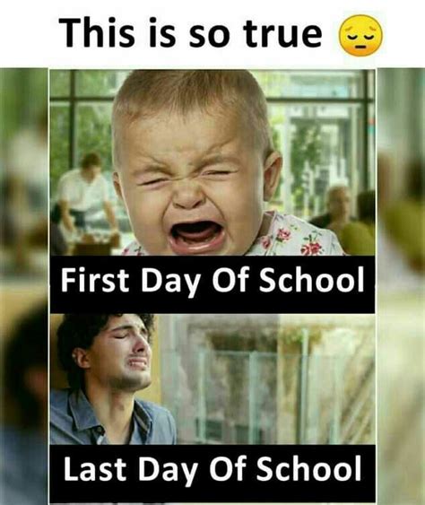 Funny Meme Quotes About School