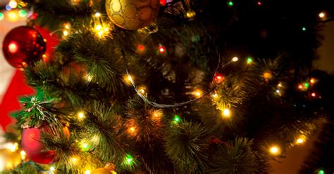 We did not find results for: How Much Does It Cost to Power Your Christmas Lights? | WIRED