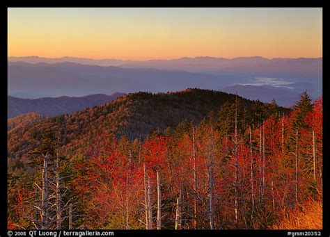 Picturephoto Trees In Fall Foliage And Ridges From