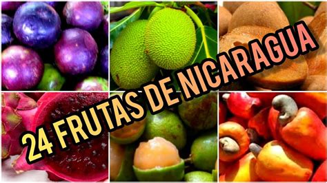 Nombres Y Usos De 24 Frutas De Nicaragua Conocidas Y Exóticas Paraiso De Las Frutas Youtube