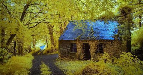 Amazing Places On Earth Ancient Forest Cottage In