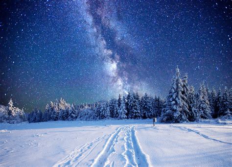 Pine Trees Snow Landscape Stars Wallpapers Hd Desktop