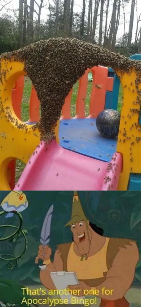 Playground Bugs Imgflip