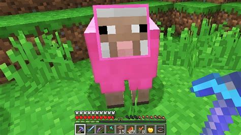 What Is The Rarest Sheep In Minecraft