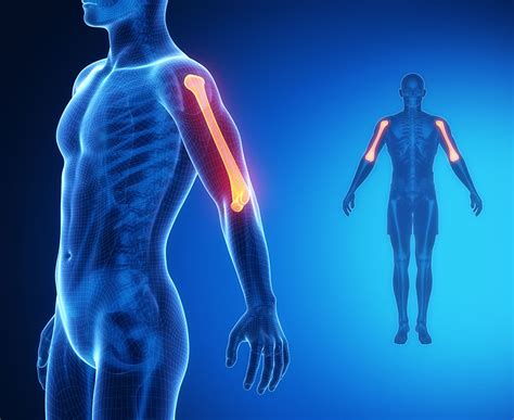 Shoulder Pain Cause Of Injuries Symptoms Solutions Physio Pretoria
