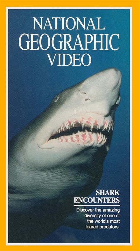 National Geographic Explorer Shark Encounters Tv Episode 1993 Imdb